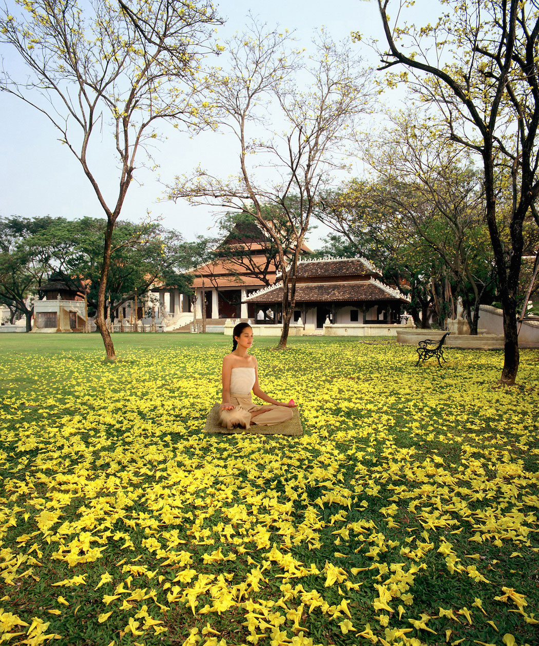 Dhara_Dhevi_Chiang_Mai_46_Meditation