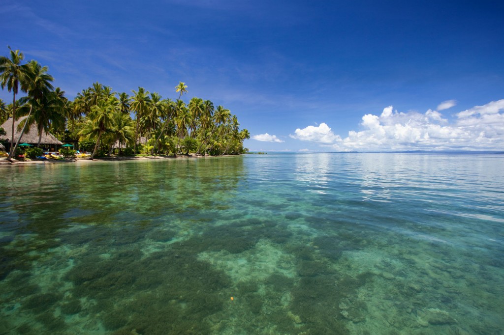 Tropical Beach Fiji