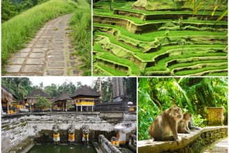 the-charm-of-ubud-in-bali-the-luxury-listing