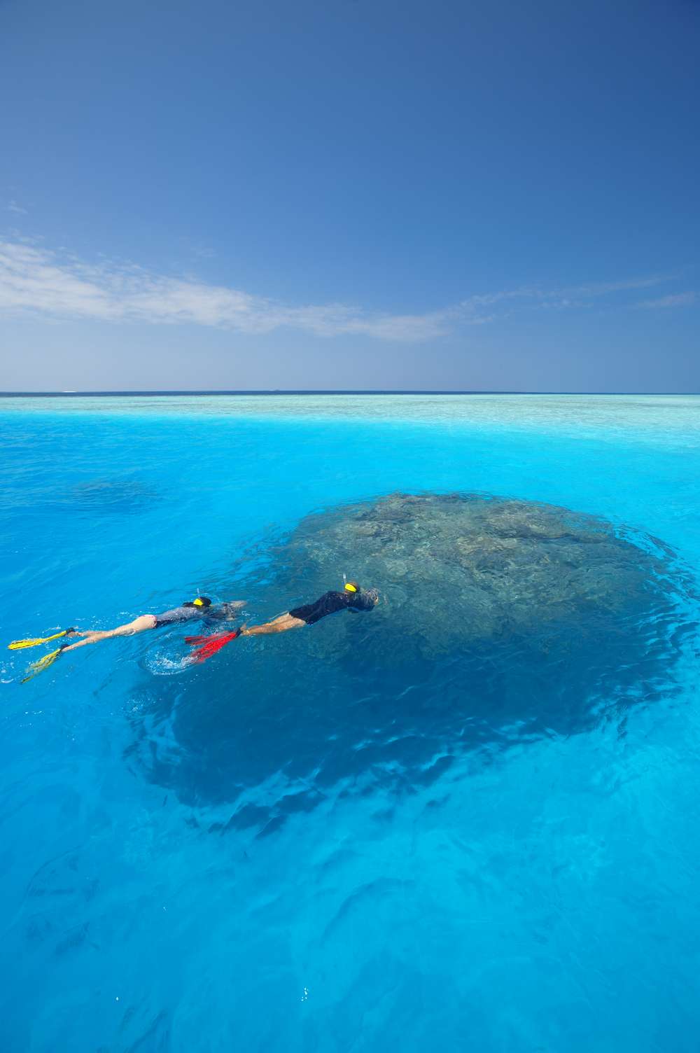 Baros Maldives Snorkeling