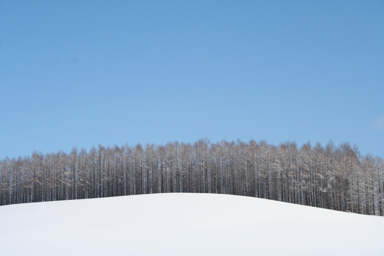 36-Kasara-Hotel-Niseko