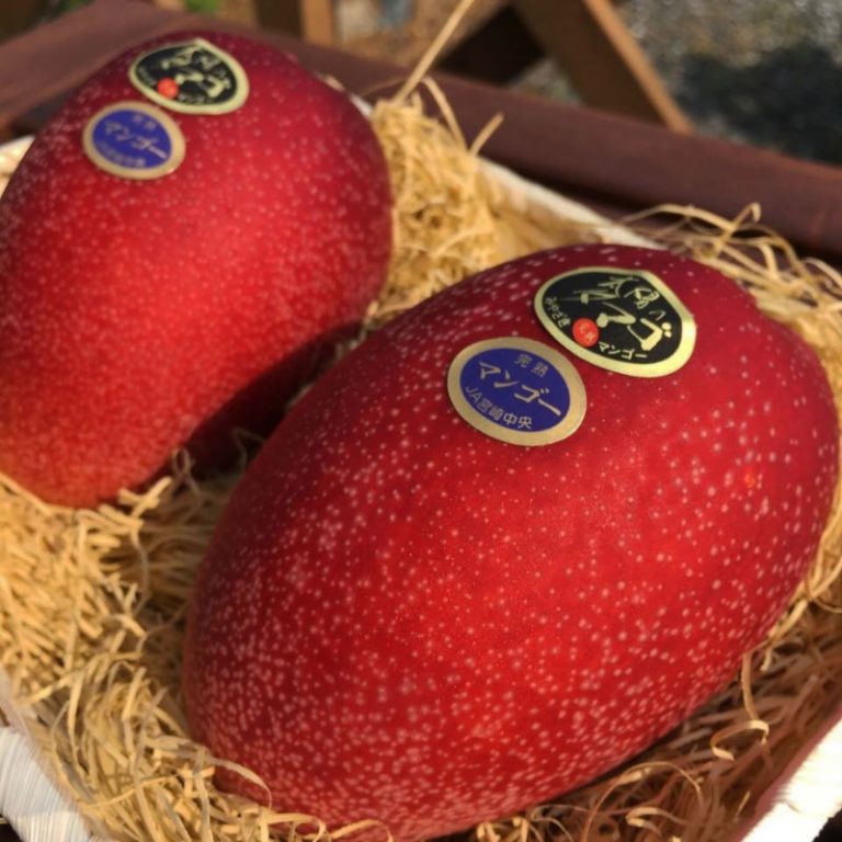 A Look Inside Japan's World of Luxury Fruits Truly Classy